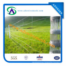 Hot Dipped Galvanized Farm Field Fence/Grassland Fence/Cattle Fence